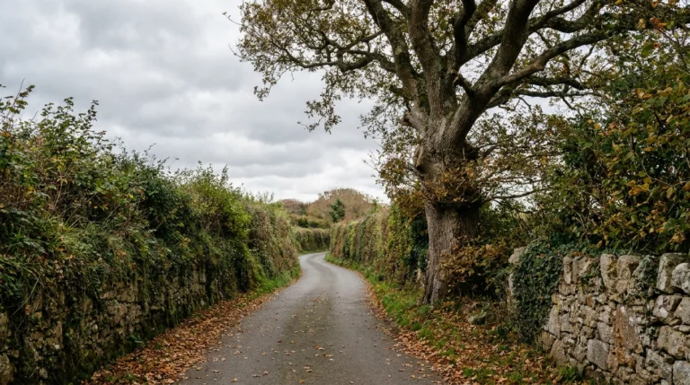 Jersey charity warns nature left out of government’s 11 priorities