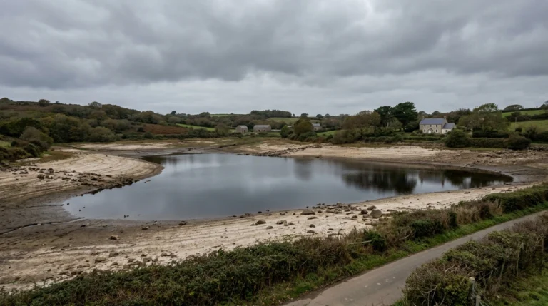 Jersey Water restarts desalination as reservoirs fall to 57%