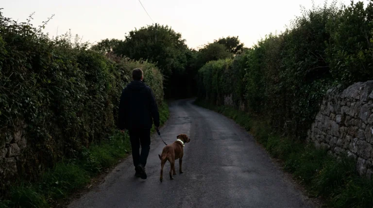 JSPCA urges gradual routine changes as darker evenings arrive